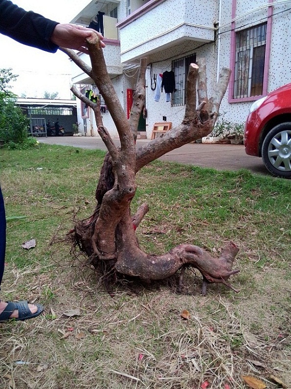 IMG20140308ţ1.jpg