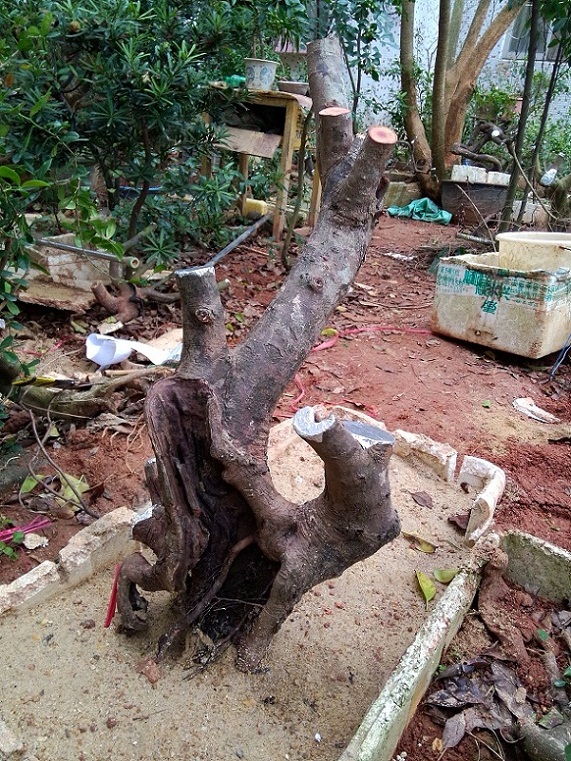 IMG20140309ţ7.jpg