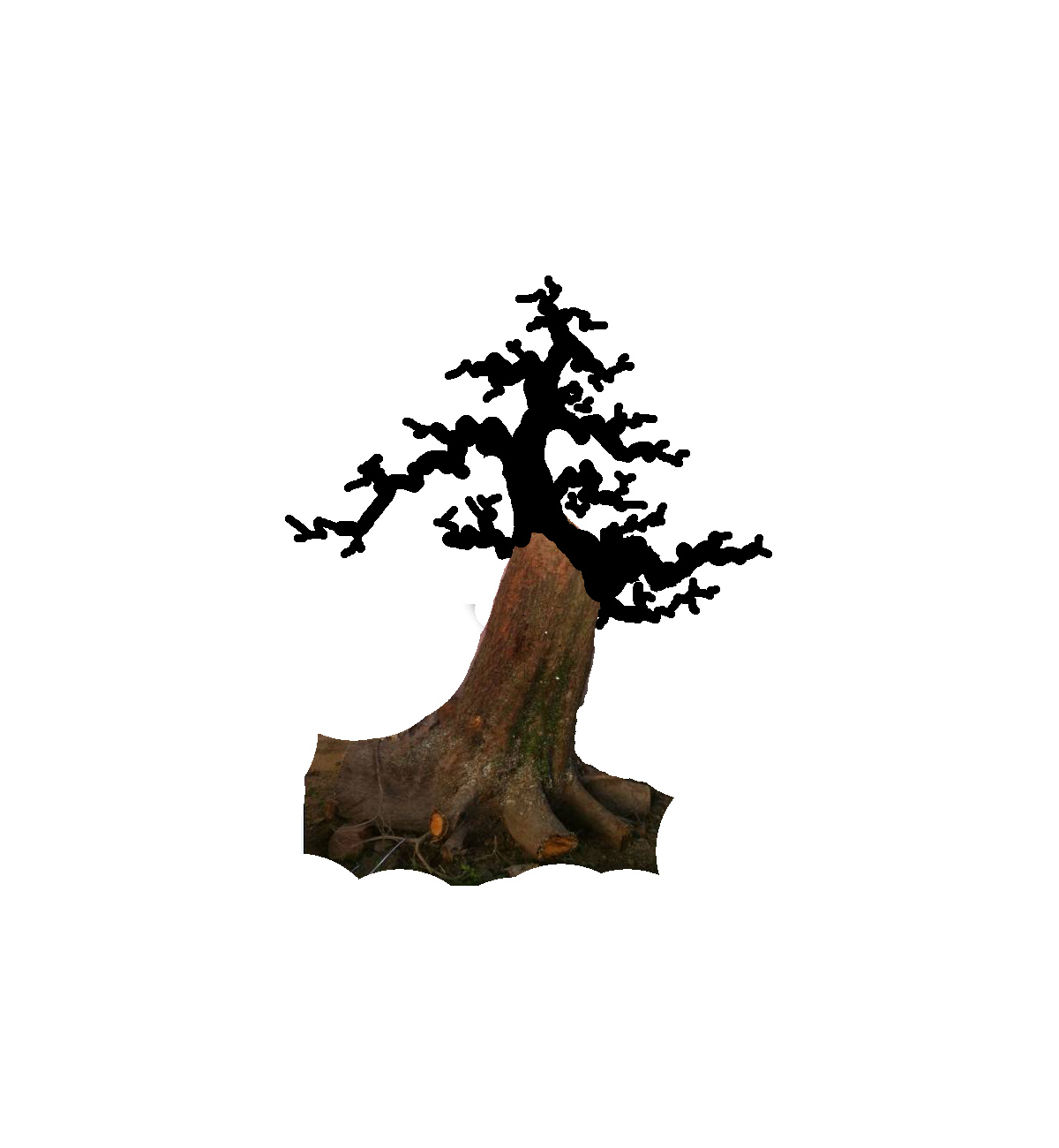 δ-1.jpg