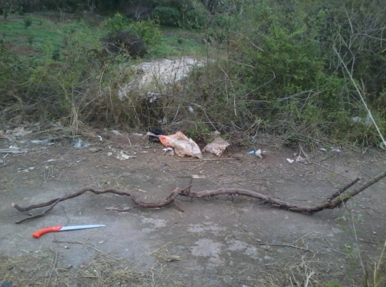QQͼƬ20140309212645.jpg
