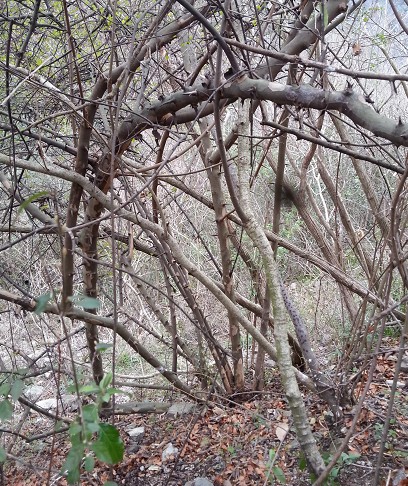 QQͼ20140310104945.jpg