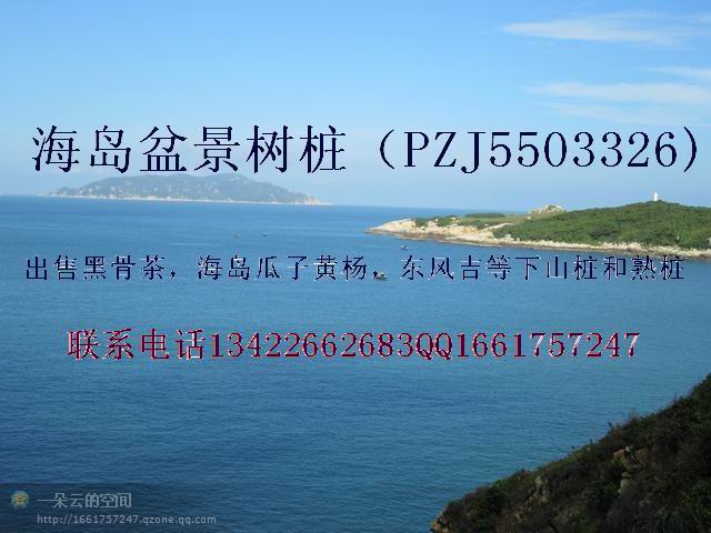 YS66aj0hewAAYp20aj2GfAAA&amp;bo=gALgAQAAAAABAEQ!&amp;rf=photoDetail.jpg