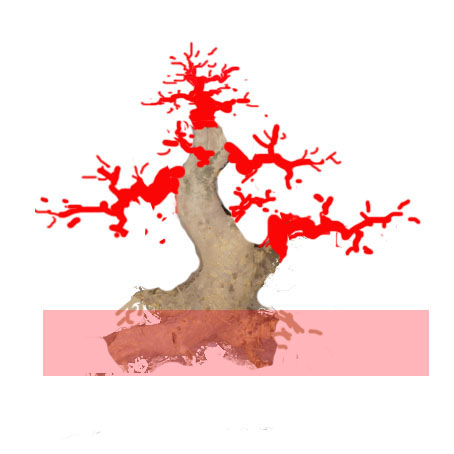 230106v68ch5nwclnyvqrv.jpg