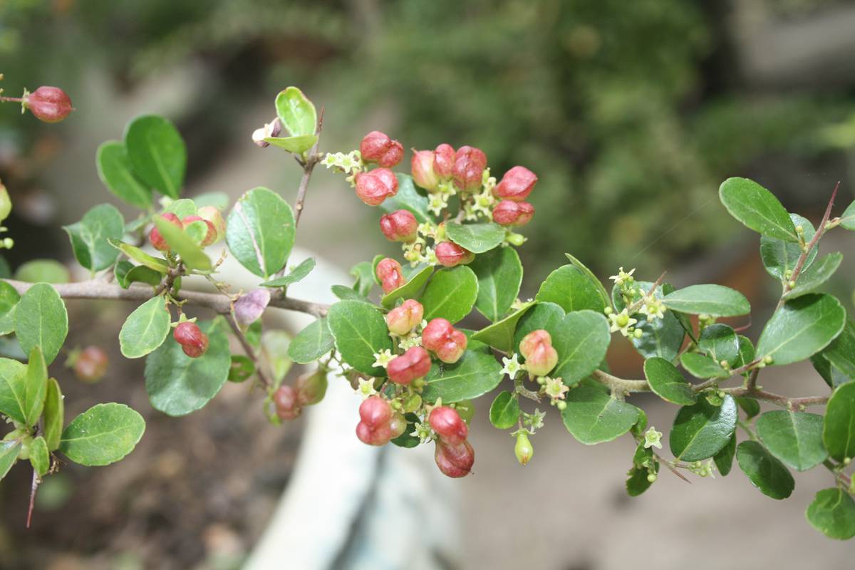 Ƭ20131026ۺ 224.jpg