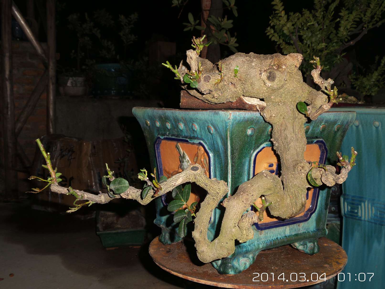 20140304_010755.jpg