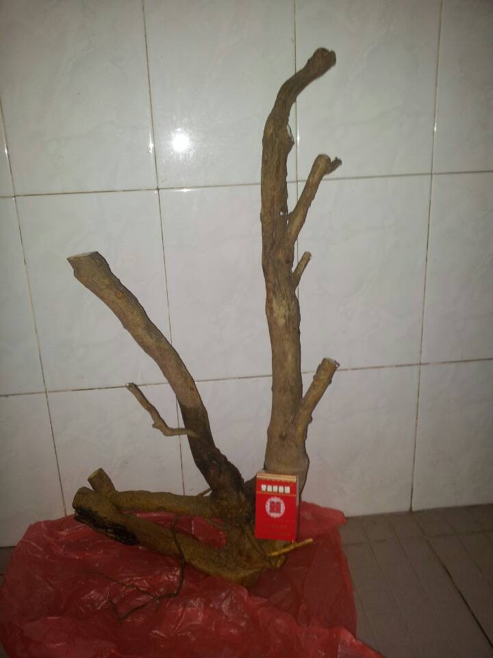 QQͼƬ20140311190509.jpg