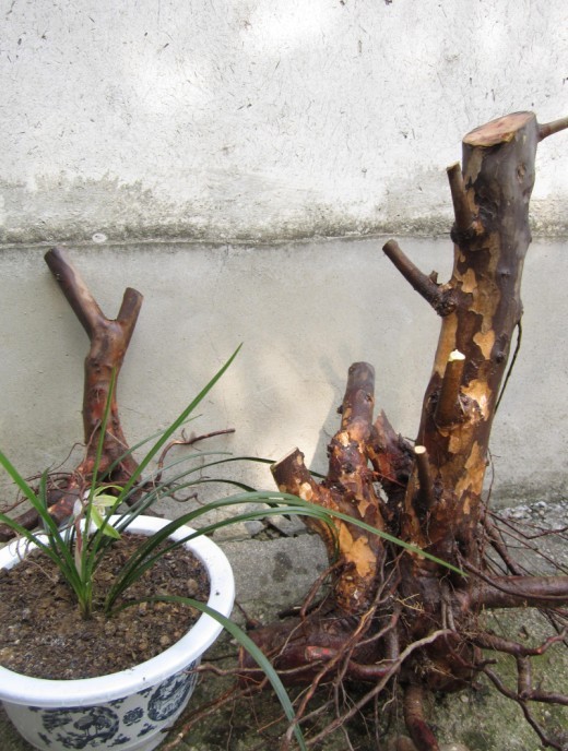 QQͼƬ20140311190736.jpg