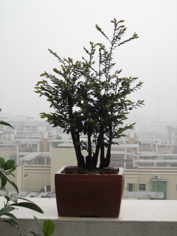 ڹ2014괺_12.JPG