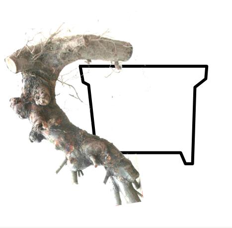 δ2.JPG