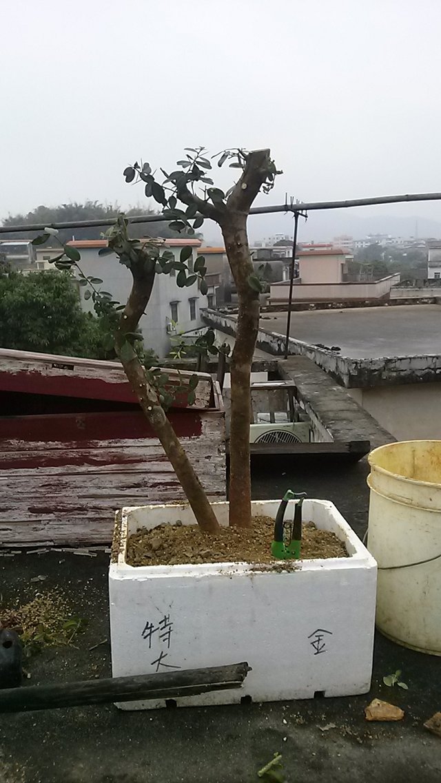 ɽϵ̳̻ͬи...2+׮Ƚ.