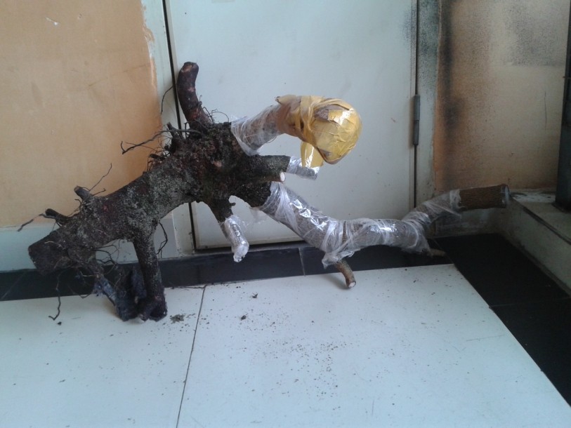 QQͼƬ20140312231617.jpg
