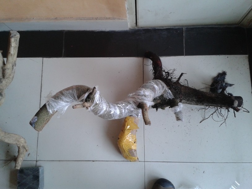 QQͼƬ20140312231633.jpg