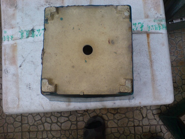DSC06238.JPG