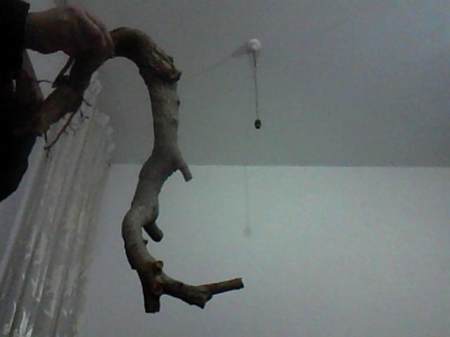 ͼƬ 011.jpg