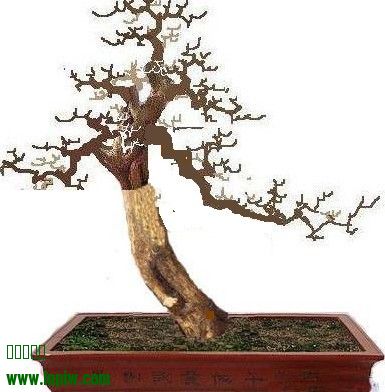 QQͼƬ20140313235801.jpg