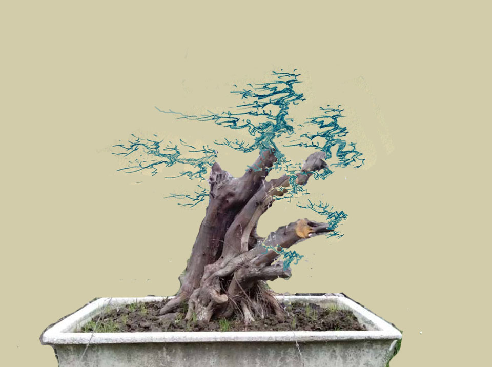 095846wgt1rpi.jpg
