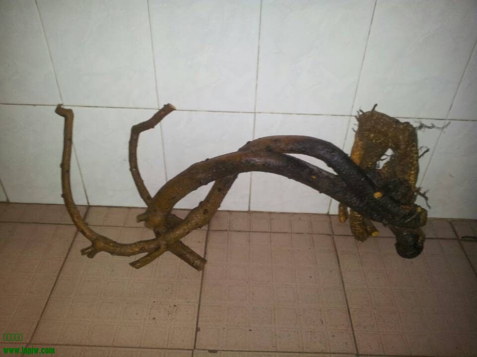 QQͼƬ20140312230240.jpg
