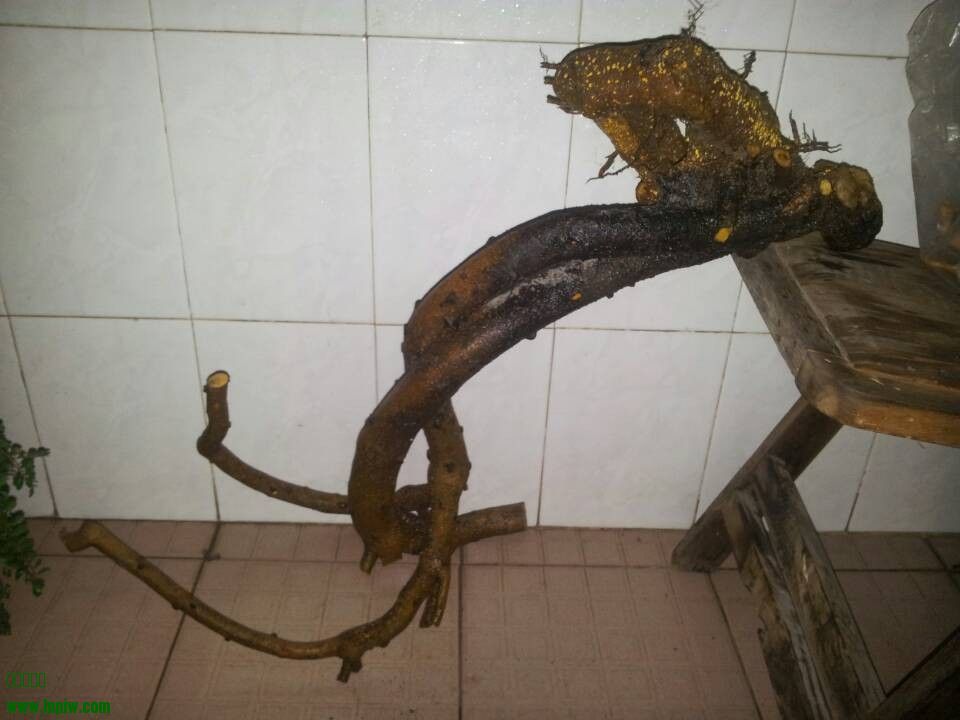 QQͼƬ20140312230235.jpg