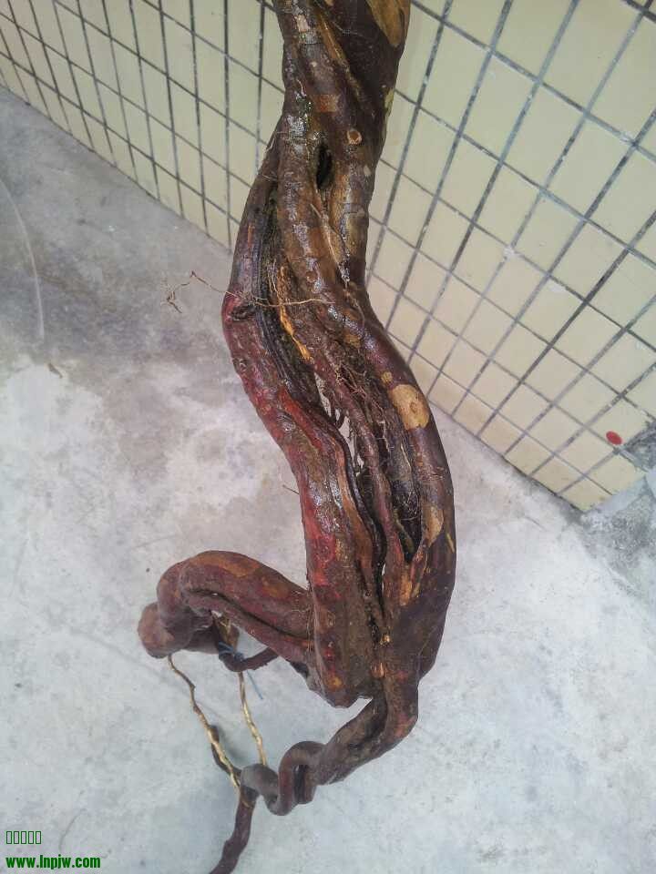 QQͼƬ20140314182148.jpg
