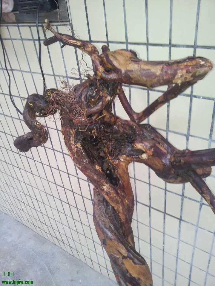 QQͼƬ20140314182223.jpg