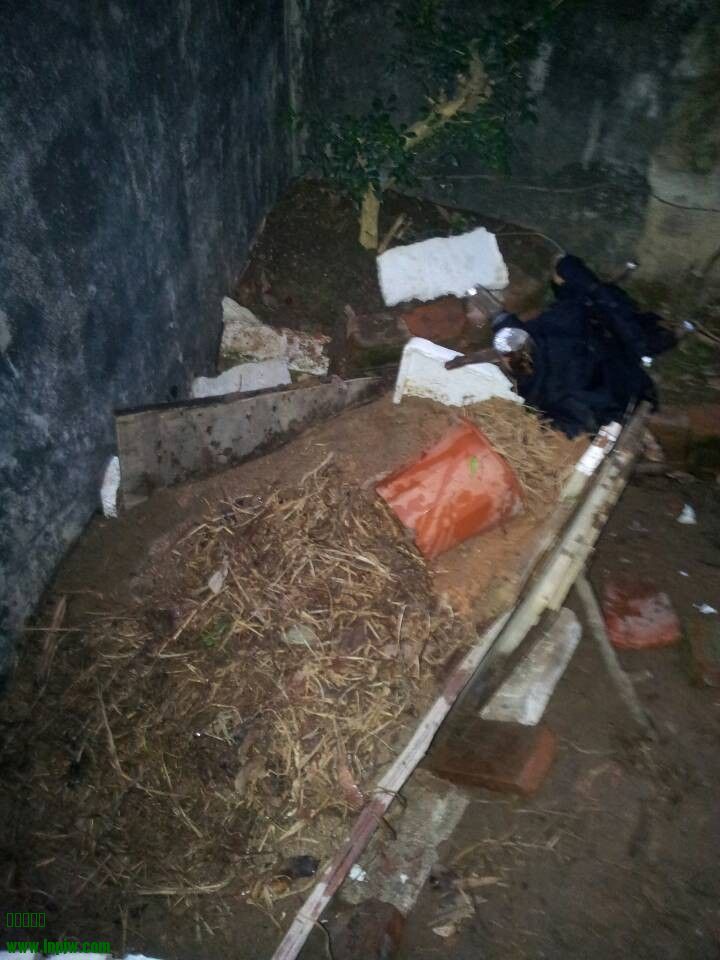 QQͼƬ20140315201151.jpg
