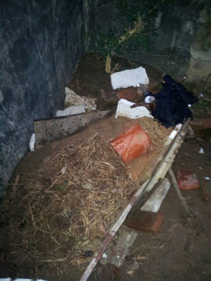 QQͼƬ20140315201151.jpg