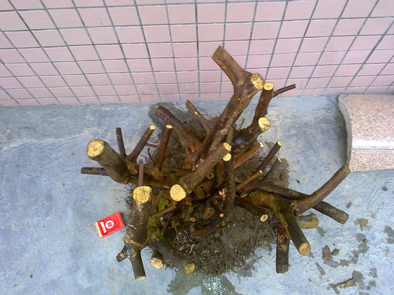 0850.jpg