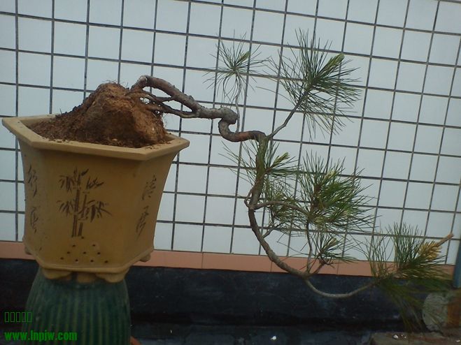 DSC02060.jpg