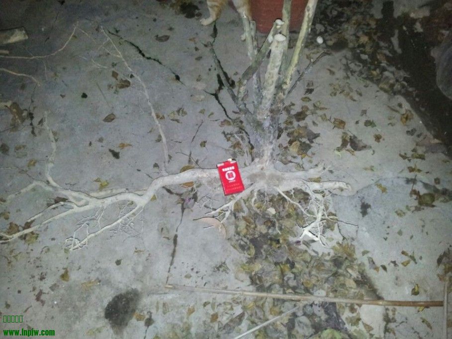 1..jpg
