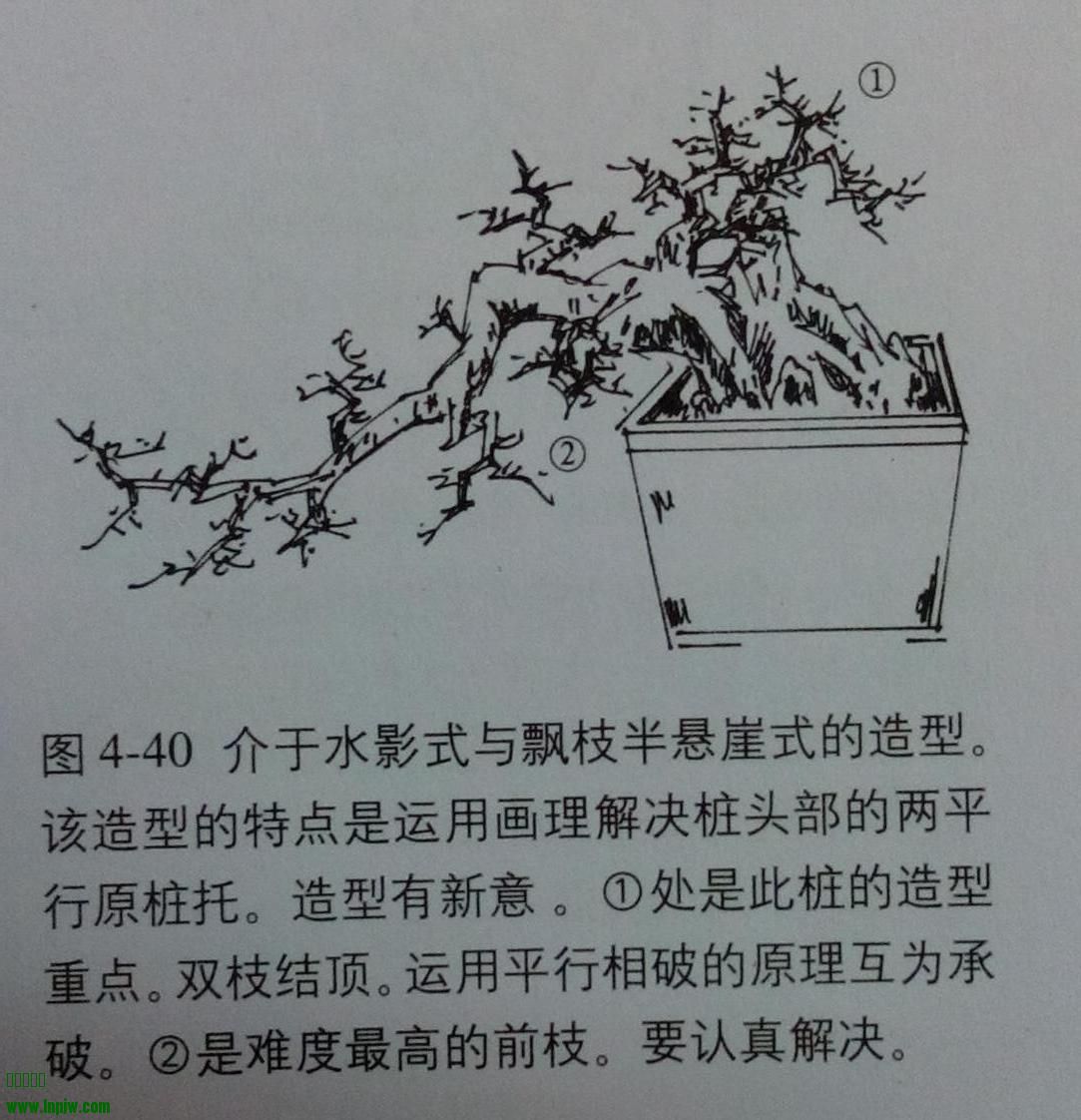 111.jpg