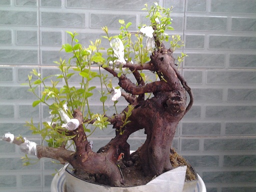 20140318_170237.jpg