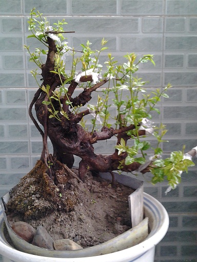 20140318_170307.jpg