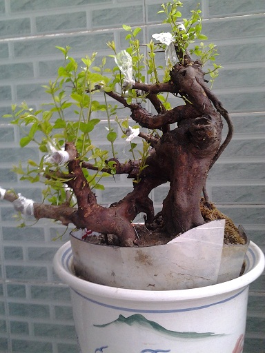20140318_170346.jpg