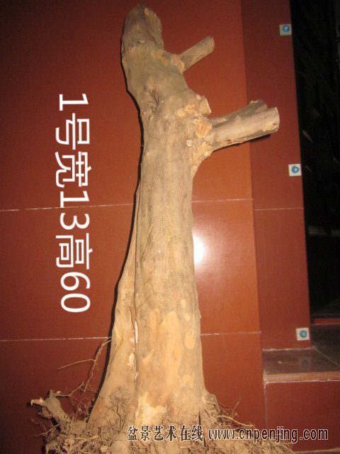 183811oemy88y3qyjse3qr[1].jpg