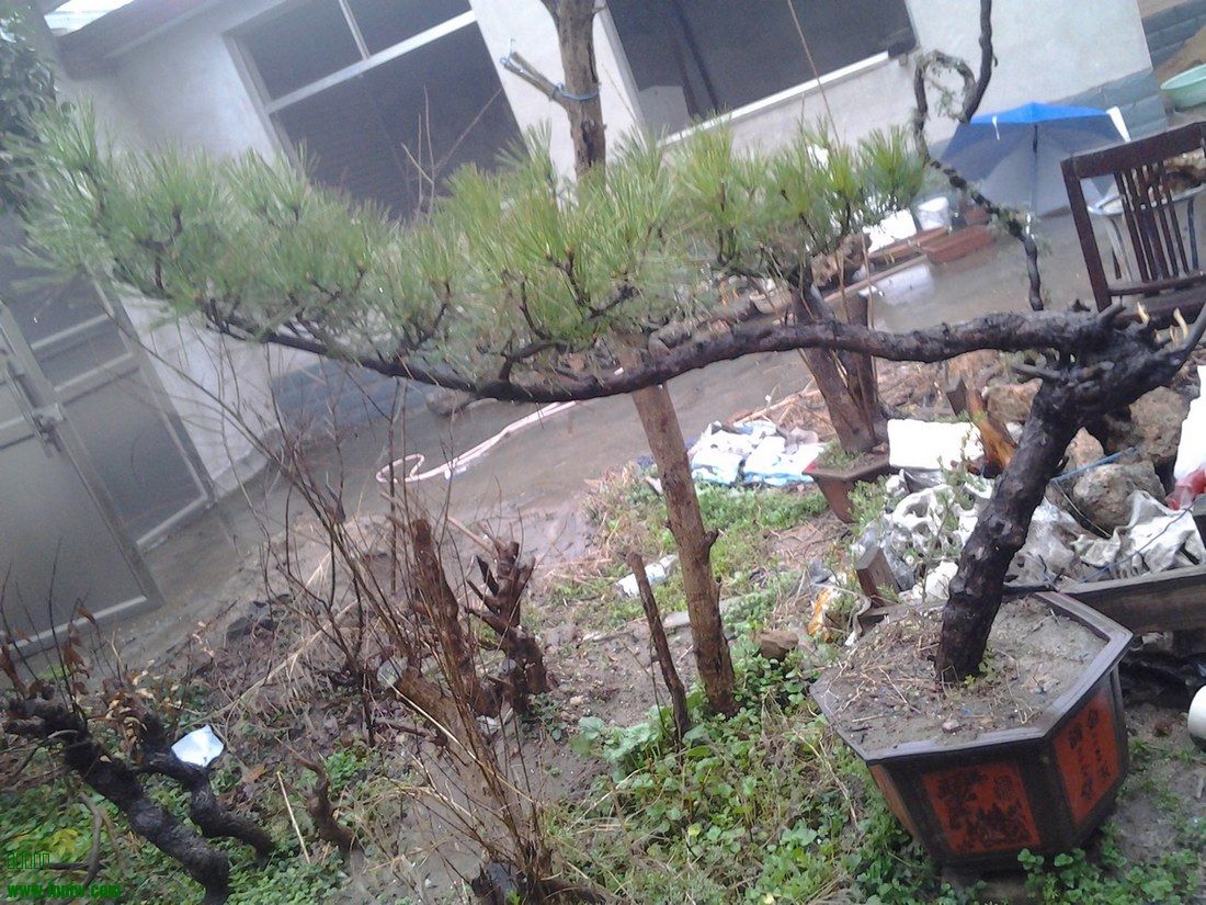 20140312_081654-1.jpg