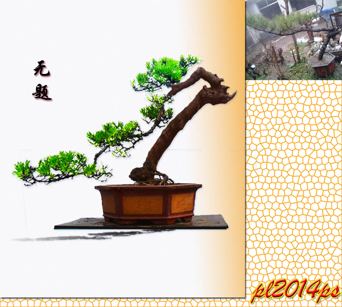 pl2014ps_3_1127123.jpg