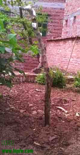 WP_20140319_15_14_58_Pro.jpg