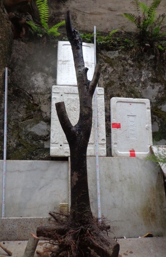 QQͼƬ20140310104553 - .jpg