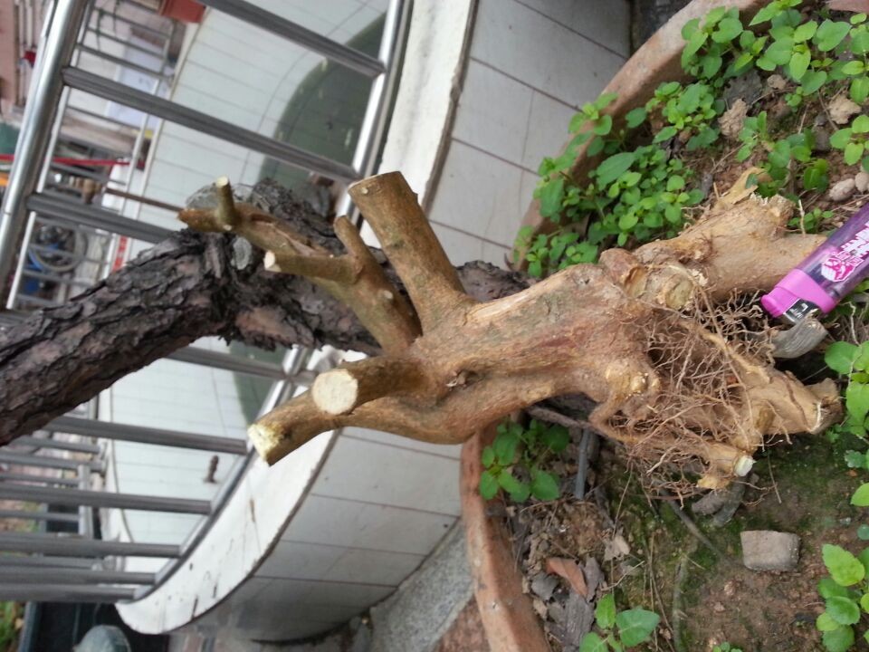 QQͼƬ20140316083205.jpg