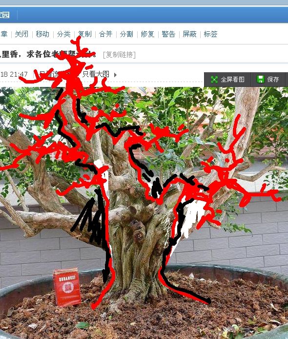 `7@YARNVRURY3EI[`0[0_WJ.jpg