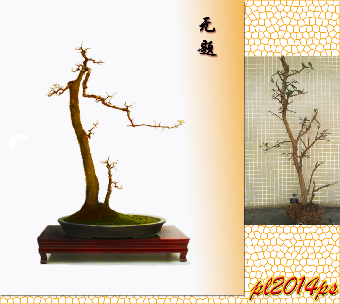 pl2014ps_3_1127123456.jpg