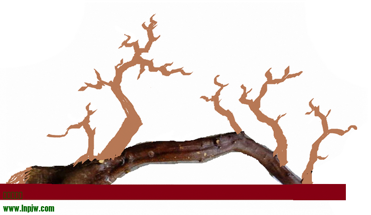20140318ֽ.png