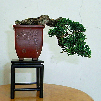 RIMG3470_.jpg