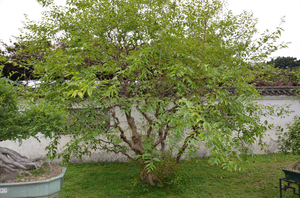 DSC_0926.jpg
