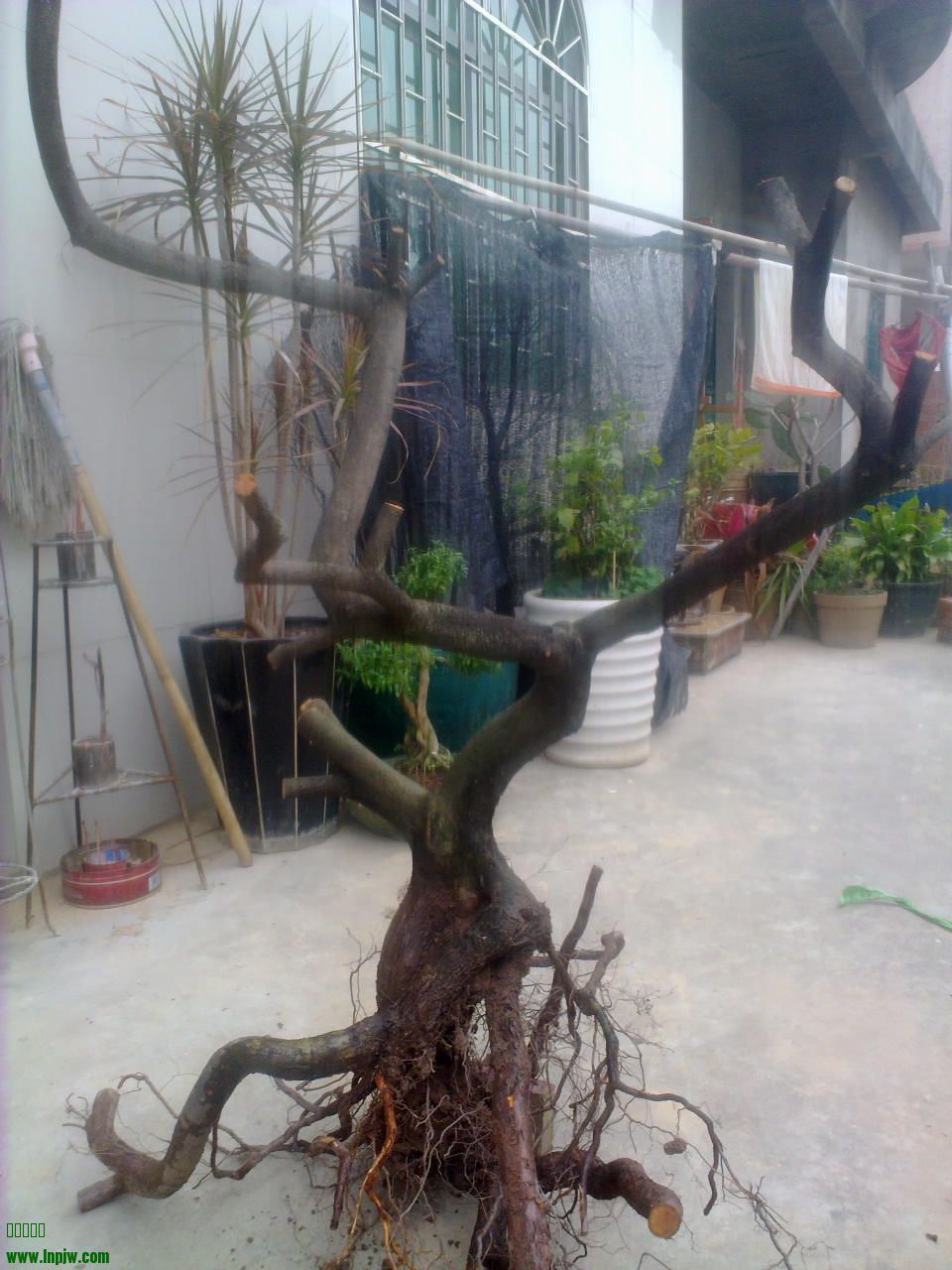 201403211632.jpg