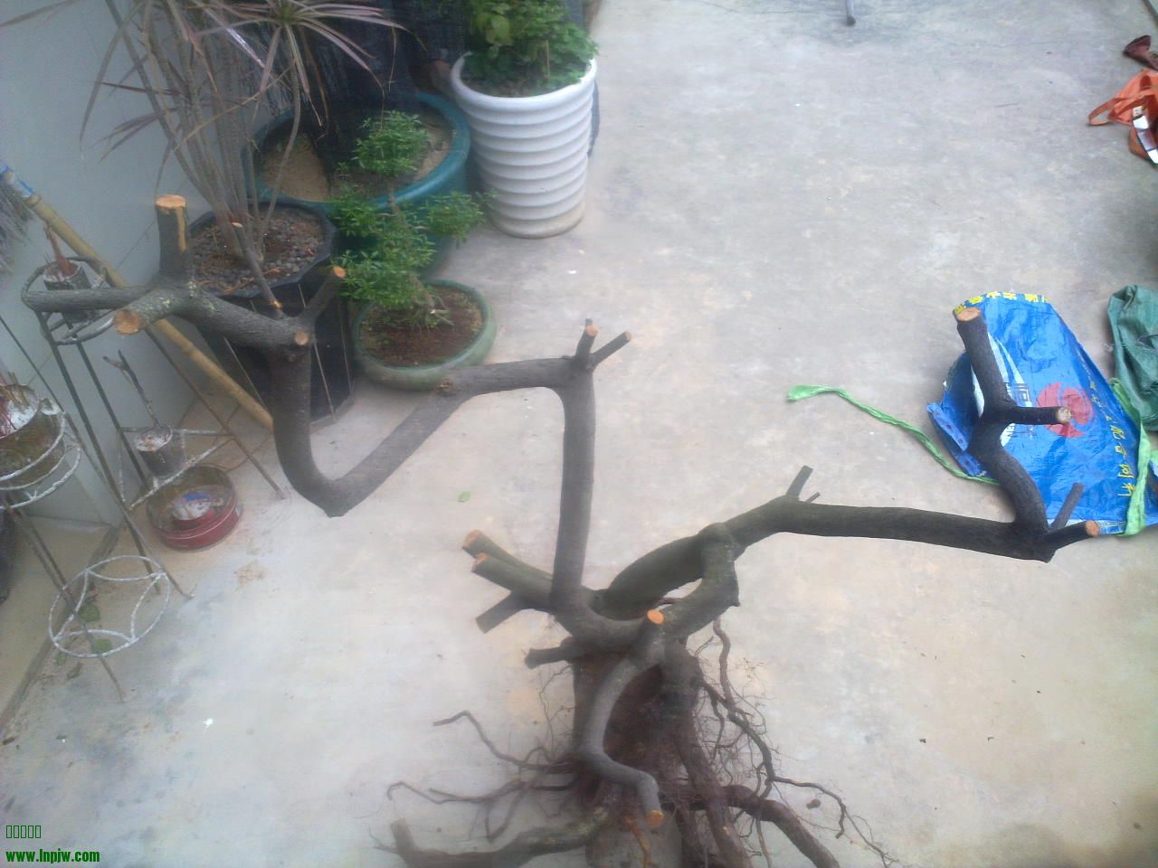 201403211638.jpg