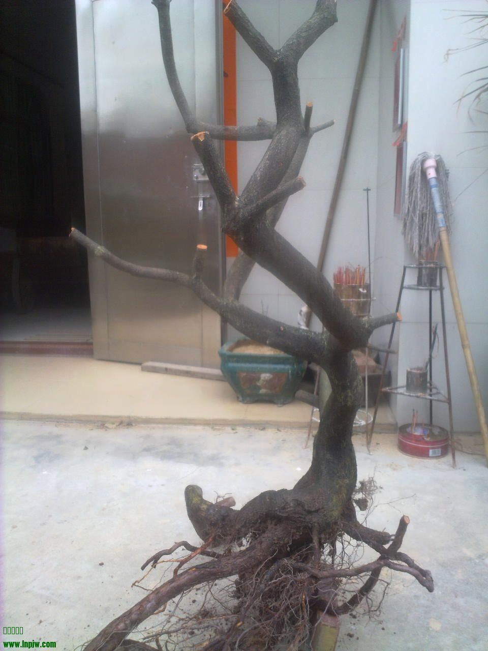 201403211633.jpg