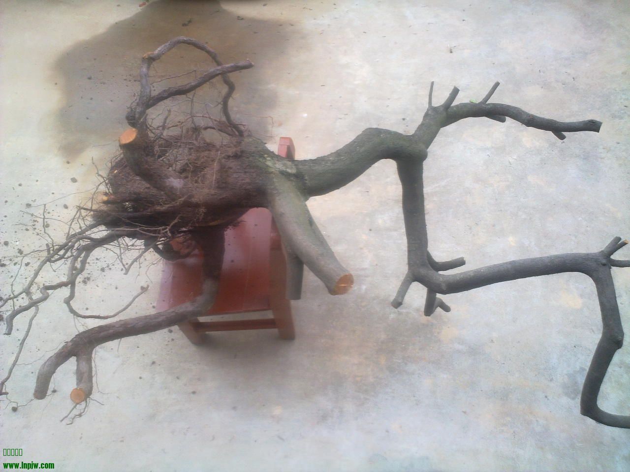 201403211639.jpg
