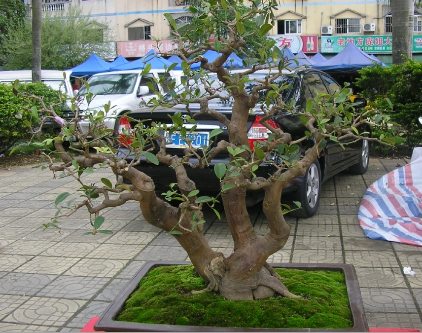 104.jpg
