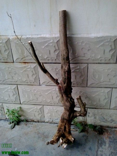 20140321_173640__.jpg